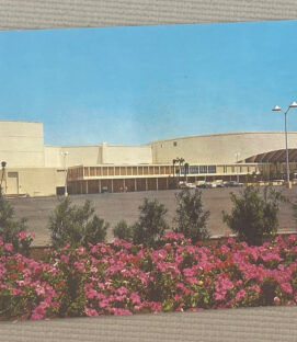 St Petersburg Bayfront Center Postcard